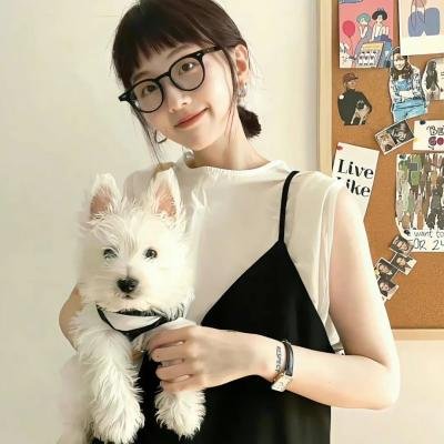 华尔街狼人 海报
