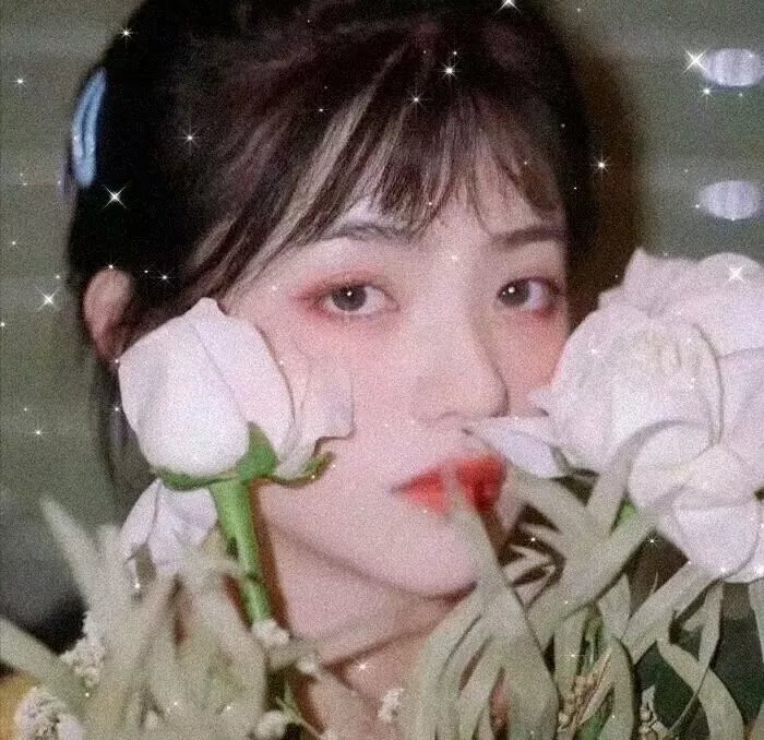 花 海报